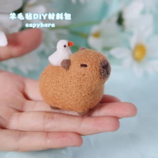 Custom Capybara Needle Felting DIY Kit — Product view